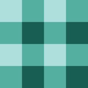 Basic-check-blue