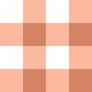 Picnic Check in Coral