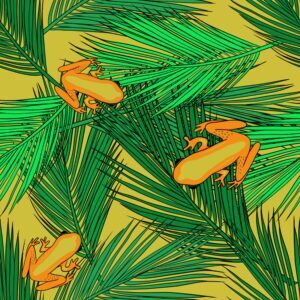 Frogs-banana