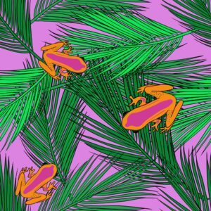 Frogs-pink