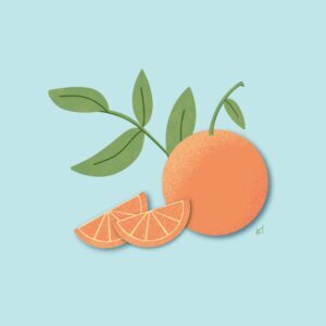 Orange-illustrated