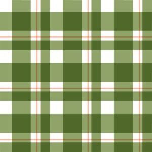 picnic plaid in sage